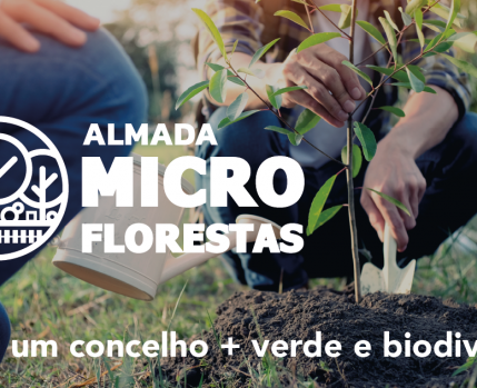 Microfloresta em Almada