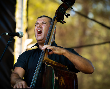 Miguel Calhaz