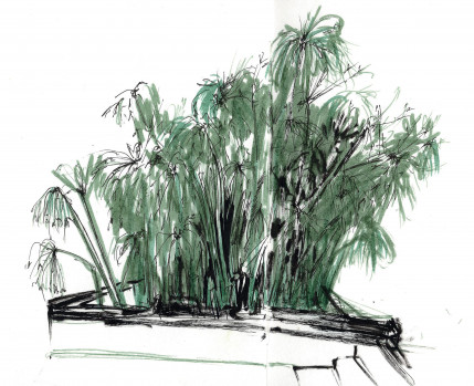 Papiros - Desenho de Luísa Passos (Grupo do Risco)