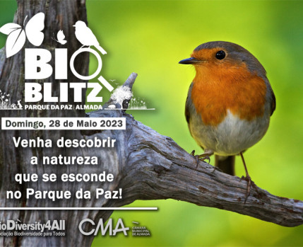 BioBlitz Parque da Paz 2023
