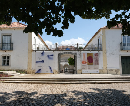 Visita orientada "Casa com Jardim" - Fotografia de Anabela Luís | CMA