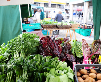 Mercado Biológico de Almada