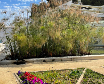 Visita Orientada a O CHÃO DAS ARTES – JARDIM BOTÂNICO