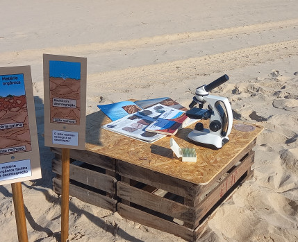 Costa da Caparica, Bandeira Azul, Formação das rochas