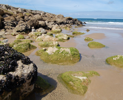 Almada, Costa da Caparica, Encontros