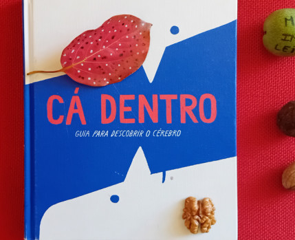 “Cá dentro: guia para descobrir o cérebro”, de Isabel Minhós Martins, Maria Manuel Pedrosa e ilustrações de Madalena Matoso