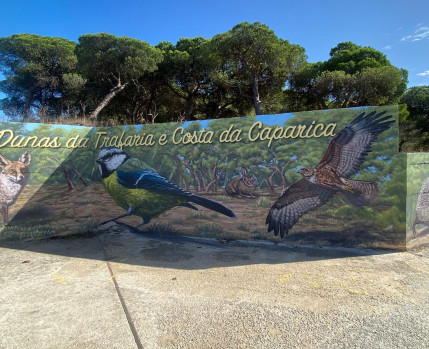 Mural