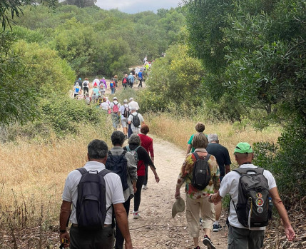 Caminhadas Alma Sénior 2022/2023