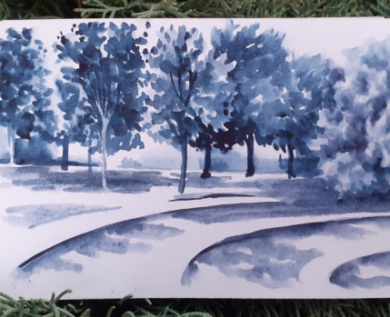 Desenho no jardim_novembro_desenho Sara Simões