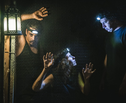 ALPHA TEATRO