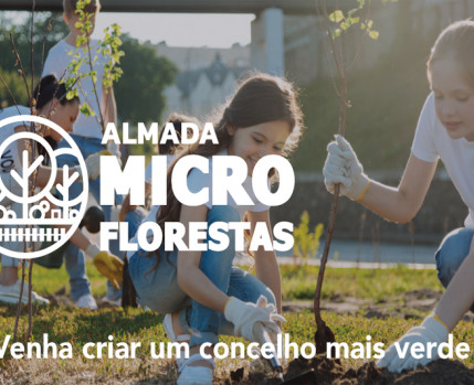 Microflorestas