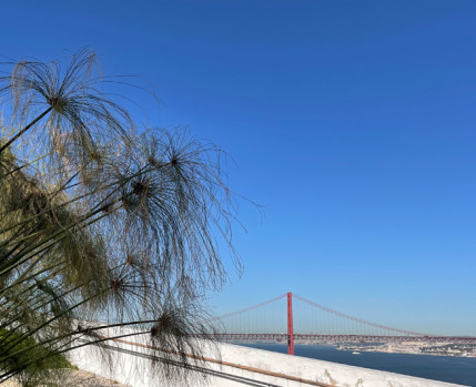 Visita Orientada a O CHÃO DAS ARTES – JARDIM BOTÂNICO
