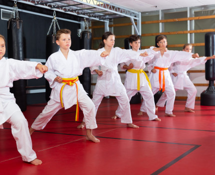 Karate2