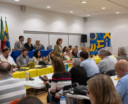 Assembleia municipal