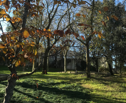 Visita Orientada a O CHÃO DAS ARTES – JARDIM BOTÂNICO