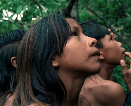 A Flor de Buriti de João Salaviza, Renée Nader Messora