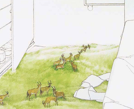 Sessão de Desenho na Casa com Mário Linhares (desenho de Wilma Martins - pormenor)