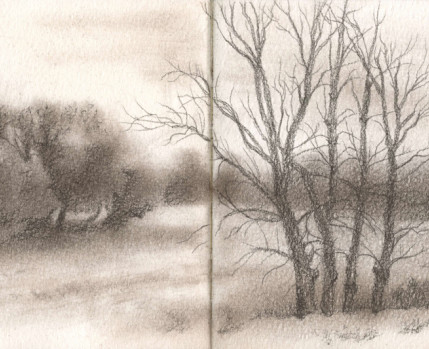 Desenho no Jardim (desenho de Sara Simões)