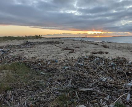 Limpeza Praia_2_2024