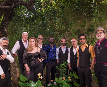Funk Connection