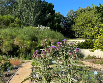 Jardim dos Pintores