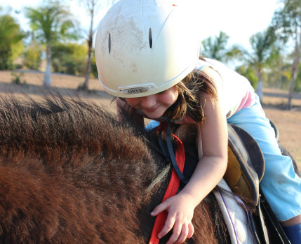 cavalo_solar