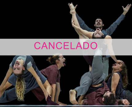 Sem um nós não pode haver voz