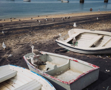 Passeio performativo - O que resta