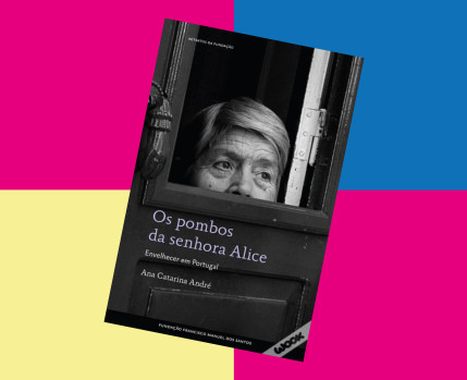 Os pombos da senhora Alice