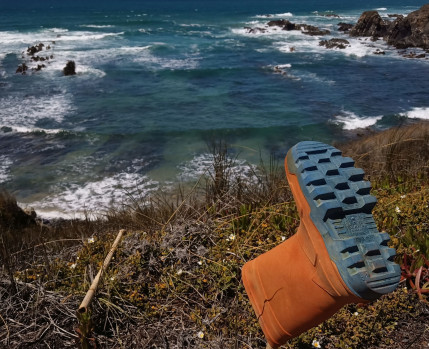 Desconcerto do mundo MTA24