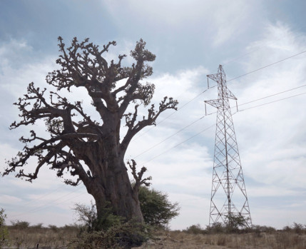 AI: African Intelligence