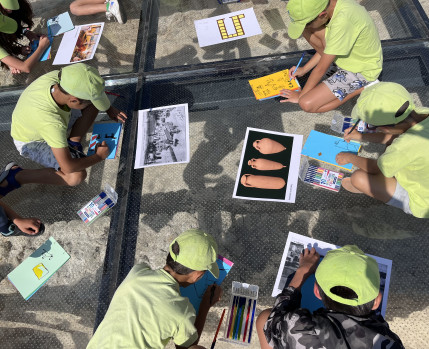 PERCURSO_VER_O_INVISIVEL_SERA_POSSIVEL_SALGAS_ROMANAS_CACILHAS_SE