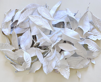 Conjunto folhas brancas