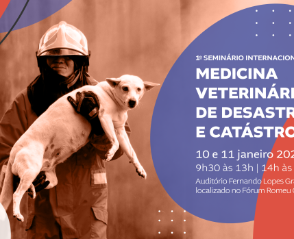 Medicina Veterinária Catástrofe