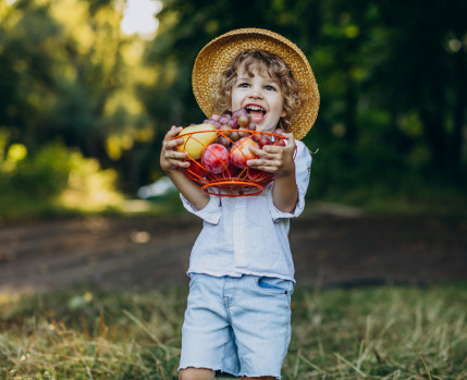 Criança com uma cesta de fruta nas mãos