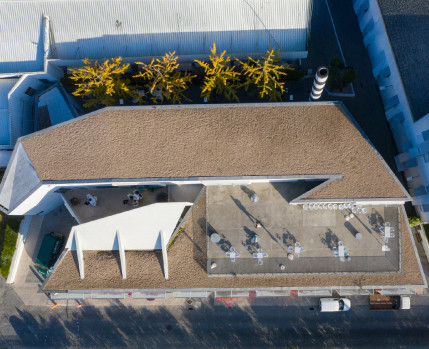 Biblioteca Egas Moniz Exterior