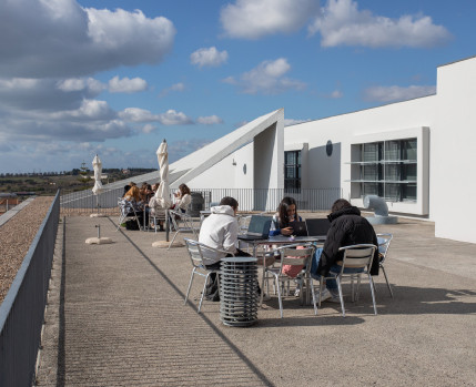 Biblioteca Egas Moniz exterior