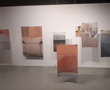 Exposição "Matéria Vibrante", de Catarina Botelho (vista geral)