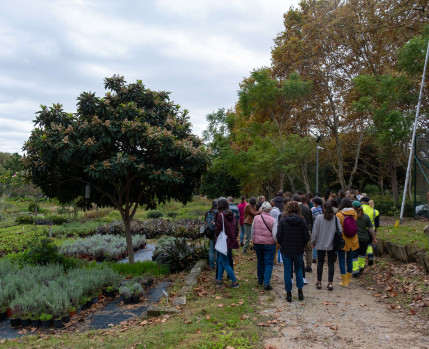 Workshop Horta de Inverno