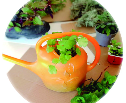 Horta em casa