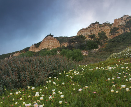 paisagem protegida