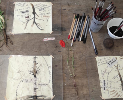 Desenhos de raízes de plantas