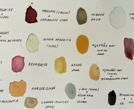 Manchas de tinta vegetal e sua identificação