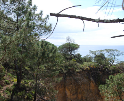 paisagem protegida 
