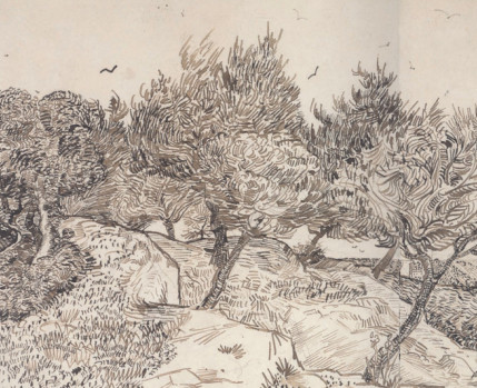 Árvores desenhadas a carvão por Van Gogh