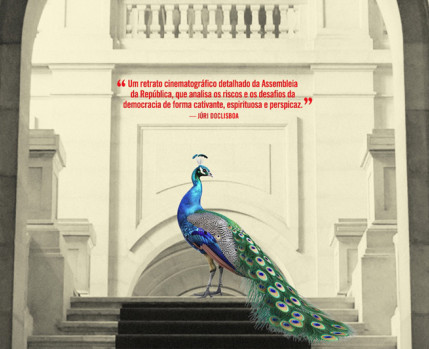 O Palácio de Cidadãos