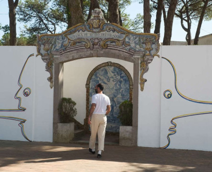 CARMA_INVERTIDO_DCOM