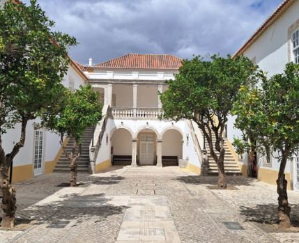 Foto do pátio de entrada da casa da Cerca, vendo-se as laranjeiras e as escadarias laterais
