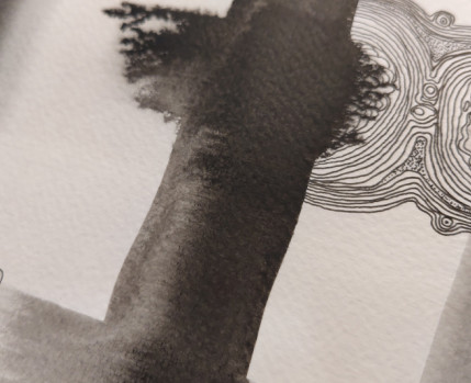 Desenho na Exposição