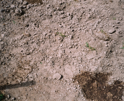 RECITAL_TERRA_DE_INVERNO_CAPUCHOS_NOVEMBRO_2025